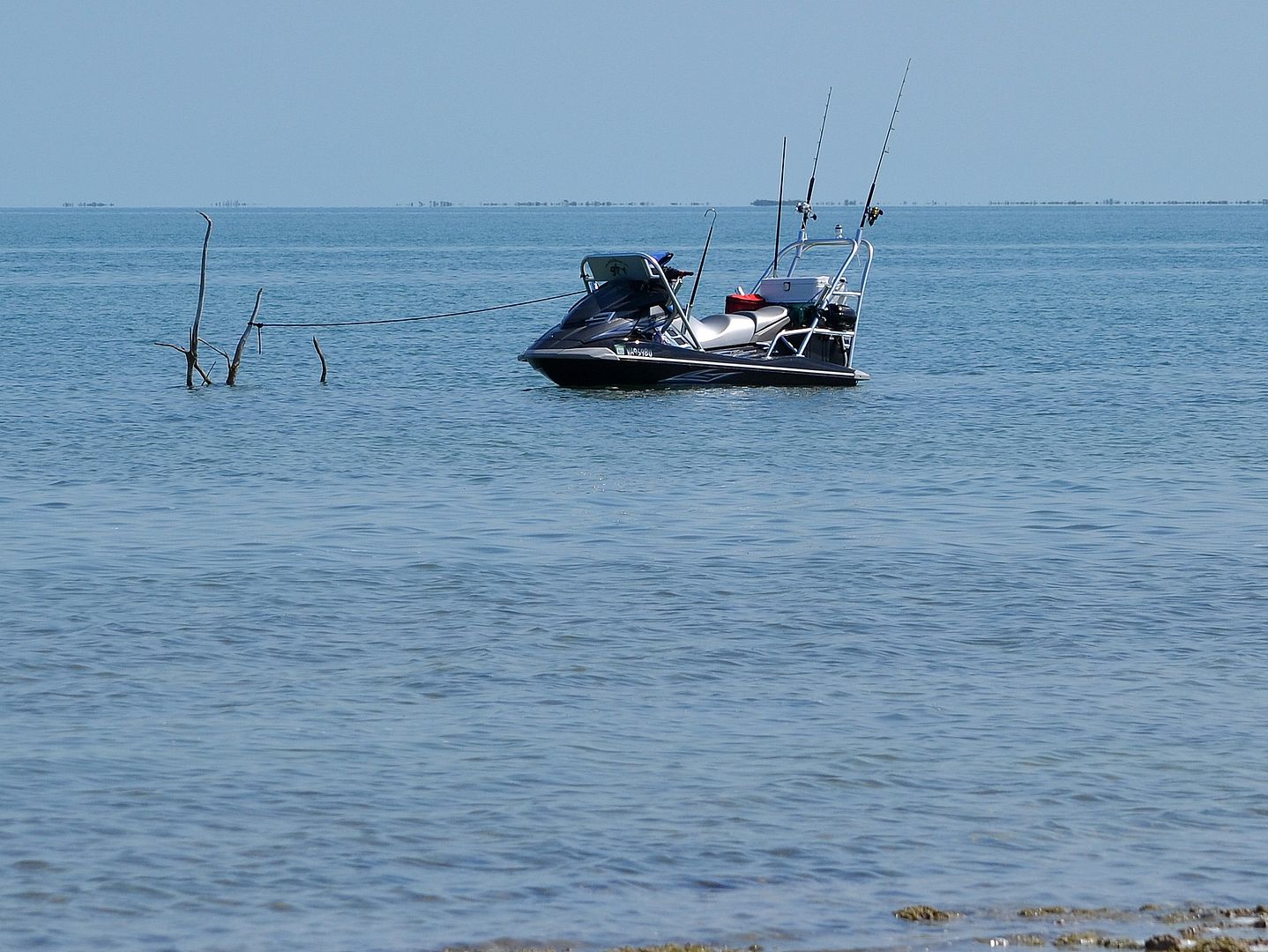 Wahoo!! Jet Ski Fishing In Bahamas! Main Forum SurfTalk